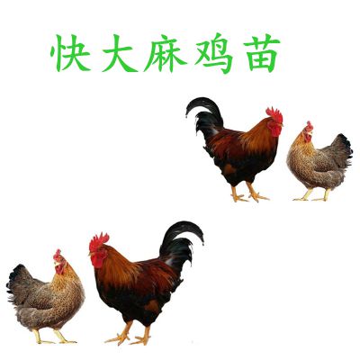 价格 厂家 中国供应商