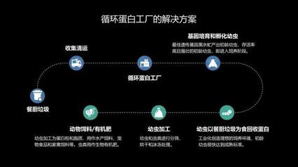 国内每年产生1亿吨餐厨厨余垃圾，丰晟生态通过黑水虻饲养打造循环蛋白家禽孵化