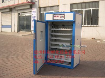 安徽华大集团家禽育种 高效专业的家禽孵化解决方案