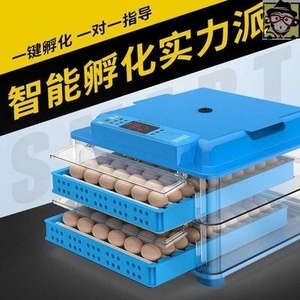 家禽孵化器 如何科学高效地孵小鸡
