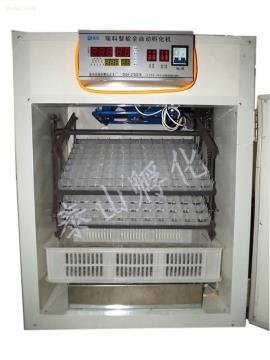 全自动孵化器 现代家禽养殖的高效解决方案