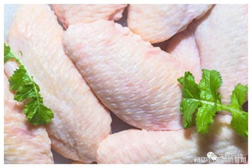 中国叫停某国四家家禽企业产品输华，行业影响与未来展望