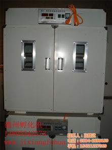 专业孵化设备选择指南 聚焦沅江孵化机、优质厂家与家禽孵化箱